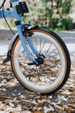 Kingsdale C9
