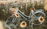 Reid Ladies Classic Vintage Bicycle Sage Lifestyle