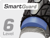 Smart Guard Level 6