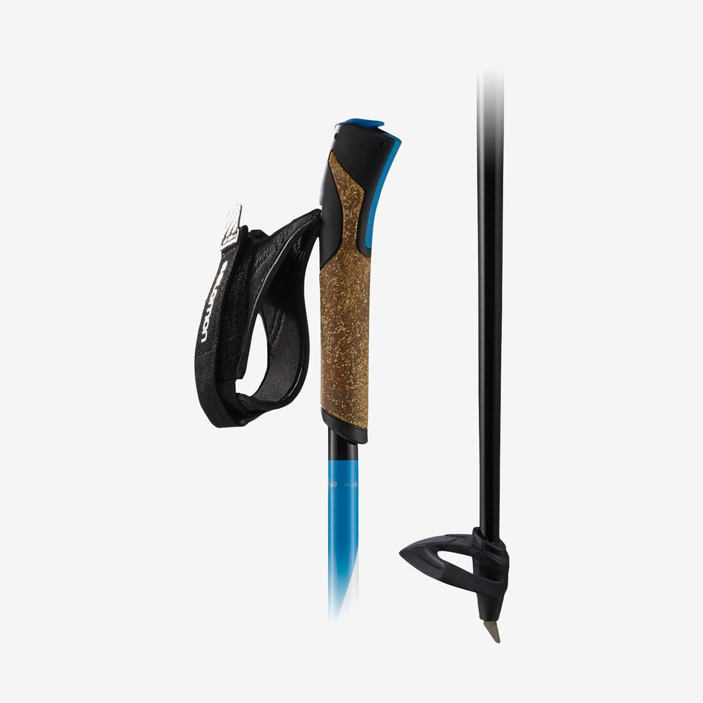 salomon carbon ski poles R 30 Click – Velotique